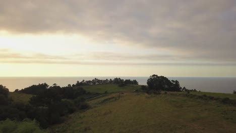 Sunset-horizon-over-lush-green-field-with-ocean-backdrop