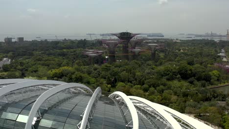 Jardines-Junto-A-La-Bahía-Toma-Aérea-De-Empuje-Sobre-Una-Cúpula-De-Flores-En-Singapur