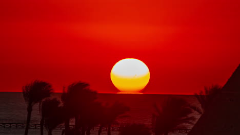 Time-lapse-Del-Sol-Saliendo-Sobre-Las-Palmeras,-El-Mar-Y-El-Colorido-Cielo-Rojo