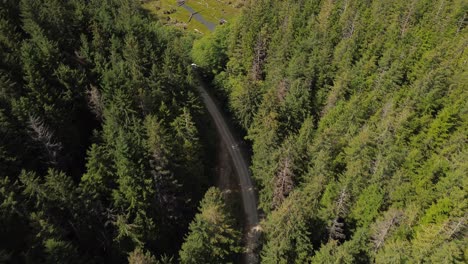 Vista-Aérea-De-Drones-Inclinados-Hacia-Abajo-Sobre-El-Bosque-Alpino-Y-Los-árboles-Muertos-A-Lo-Largo-De-Una-Corriente-De-Agua-En-La-Isla-Moresby,-Canadá