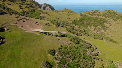 Aerial-view-of-Muelle-de-Las-Almas-wooden-walkway-on-sunny-Cucao-hills-with-ocean-backdrop