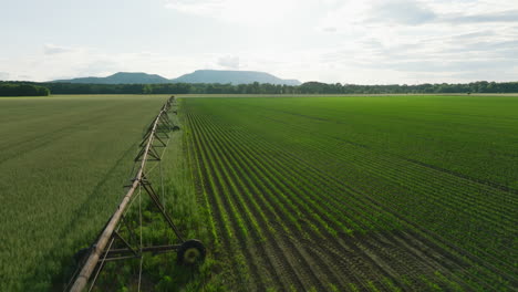 Extensos-Campos-Verdes-Bajo-Un-Cielo-Azul-Con-Equipos-De-Riego,-Dardanelle,-Ar