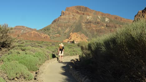 Attractive-woman-in-summer-clothes-walking-in-Teide-National-park,-back-view