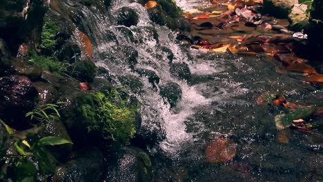 Verträumte-Filmszene,-Die-Die-Umgebungsbewegung-Des-Fließenden-Bachwassers-Zeigt,-Eingerahmt-Von-Moosbedeckten-Felsen,-Die-Mit-Orangefarbenen-Blättern-übersät-Sind
