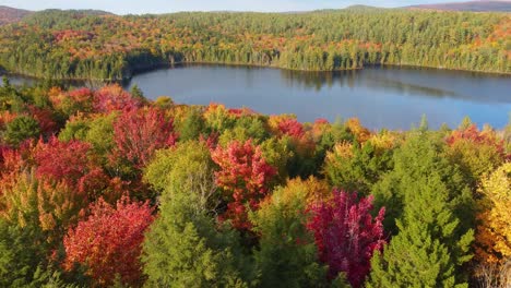 Farbenfroher-Herbstwald-Und-See,-Luftaufnahme-Einer-Drohne