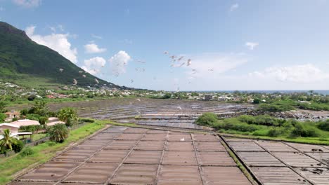 Tamarin-salt-pans-in-mauritius-with-lush-mountain-backdrop,-sunny-day,-aerial-view