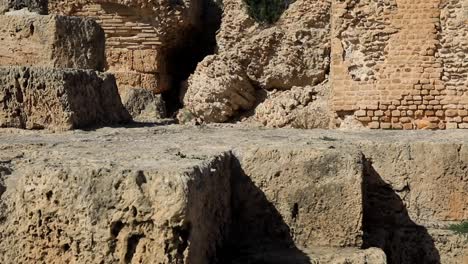 Sunlit-ancient-Roman-ruins-at-Carthage,-Tunisia,-with-stone-steps-leading-to-arches