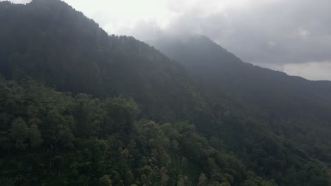 Flying-over-rainforest-in-mountain-range-in-foggy-morning