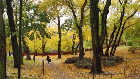 Woman-walks-through-golden-forest-park-in-autumn