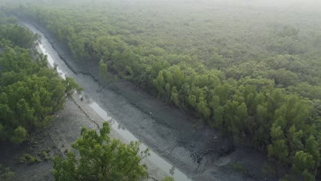 Vista-Aérea-De-Sundarban,-Que-Es-Uno-De-Los-Bosques-De-Reserva-De-Tigres-Más-Grandes-De-Asia.