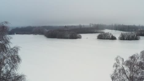 Aerial-view-of-frozen-agricultural-field-with-bare-tree-forest-in-background