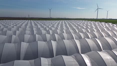 Folientunnel-Reihendesign-Blauer-Himmel-Windmühle-Horizont-Luft-Dolly-Zurück