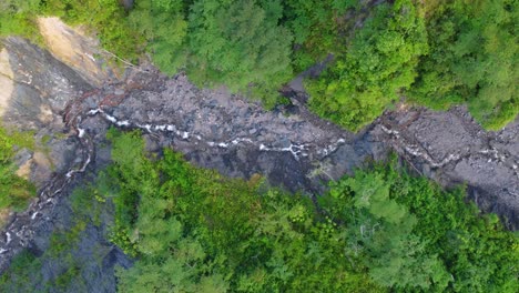 Ein-Sich-Durch-Einen-üppigen-Wald-Schlängelnder-Fluss-Bei-Tageslicht,-Draufsicht,-Luftaufnahme