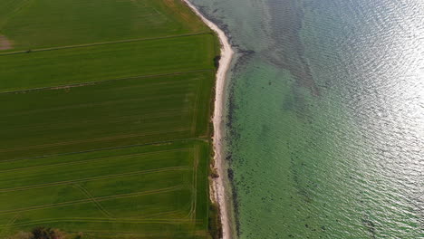 Luftbildvideo-Einer-Küste-In-Dänemark-Mit-Meer-Und-Feldern-An-Einem-Sommertag