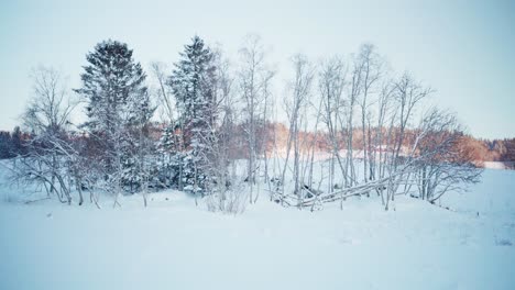 Schneedecke-In-Der-Ländlichen-Natur-Im-Winter.-Statische-Aufnahme