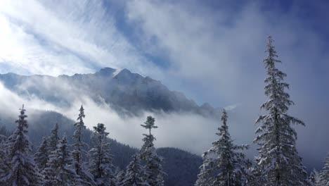 Snowy-pines-and-clouds-in-the-Bucegi-Mountains-under-a-blue-sky