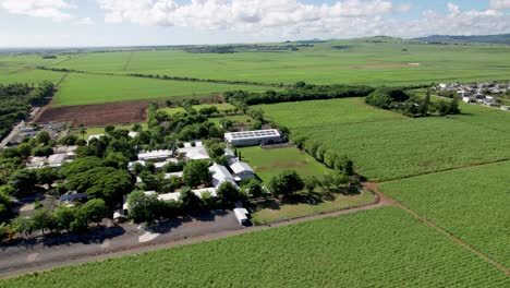 Ecole-du-nord-in-mauritius-surrounded-by-lush-greenery-and-fields,-sunny-day,-,-aerial-view