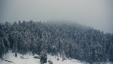 Panorama-Del-Bosque-De-Pinos-Nevados,-Montañas-Y-Cabañas-Durante-Las-Nevadas-En-Invierno-En-Gulmarg,-Cachemira,-India