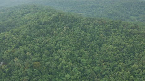 Luftaufnahme-Des-Wunderschönen-Grünen-Naturhintergrunds-Eines-Tropischen-Waldes