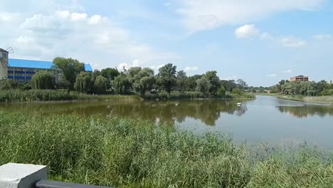 MIRGOROD,-UKRAINE---AUGUST-20,-2016:-People-on-the-streets