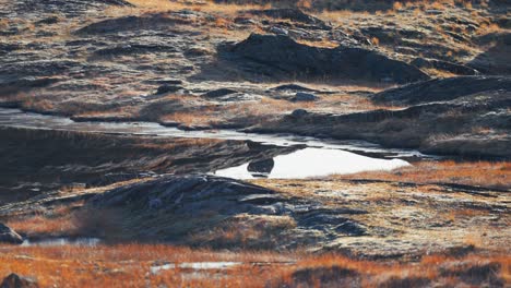Reflections-in-the-mirrorlike-shallow-pond-with-frozen-edges-and-rock-banks-in-autumn-tundra