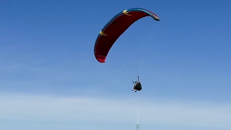 Parapentes-Volando-A-Lo-Largo-De-Los-Acantilados-Costeros-Cuando-Un-Parapente-Llega-Para-Un-Aterrizaje-Suave-En-Torrey-Pines-Gliderport,-En-La-Jolla,-California.