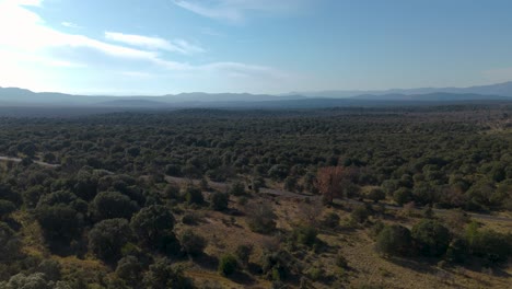 Exuberante-Foto-Panorama-Aéreo-Del-Campo-De-Saint-Loup,-Francia