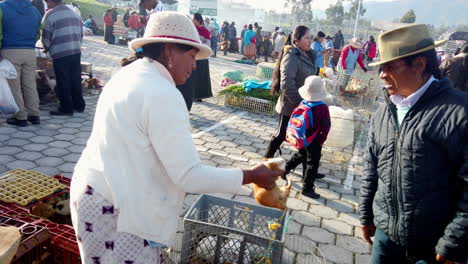 Early-morning-trading-at-Otavalo-Market,-Ecuador-with-vibrant-local-produce-and-traditional-attire