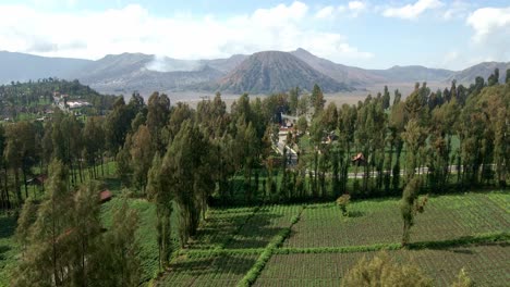 Entdecken-Sie-Das-Charmante-Dorf-Vor-Der-Majestätischen-Kulisse-Des-Berühmten-Mount-Bromo