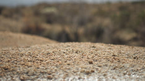 Die-Kamera-Gleitet-Anmutig-Durch-Die-Verschneiten-Landschaften,-Die-Ikonischen-Josuabäume,-Die-Mit-Sand-Und-Wasser-Geschmückt-Sind