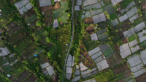 Birds-eye-view-over-Sembalun-rice-fields-on-Lombok-Island,-Indonesia