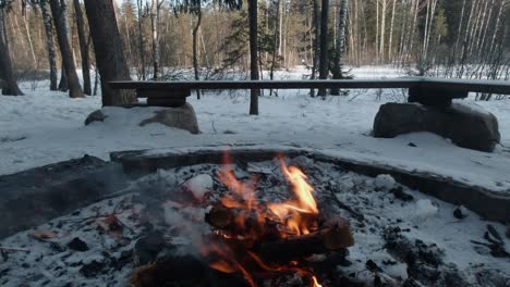 Verschneites-Winterlagerfeuer-Brennt-In-Der-Feuerstelle-Im-Kalten-Nördlichen-Borealen-Wald