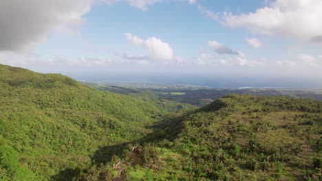 Exuberante-Paisaje-Verde-Del-Sur-De-Mauricio-Con-Colinas-Bajo-Un-Cielo-Despejado,-Durante-El-Día