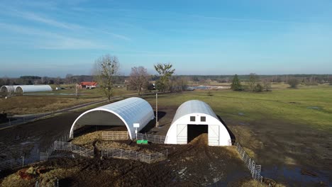 Weiße-Folie-Hallentunnel-Fliegen-über-Bauernhof-Kuh