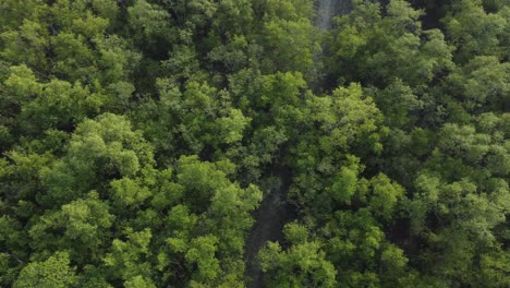 Vista-Aérea-De-Sundarban,-Que-Es-Uno-De-Los-Bosques-De-Reserva-De-Tigres-Más-Grandes-De-Asia.