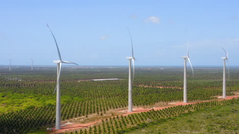 Aerial-view-of-wind-fan-in-the-middle-of-a-green-area-of-palm-trees,-Ceara,-Brazil