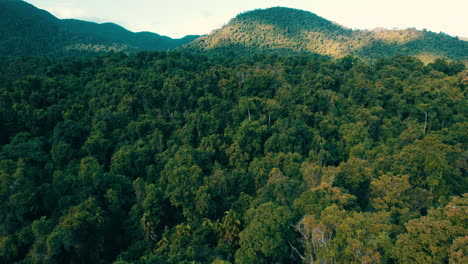 Cinematic-aerial-view-of-the-rainforest-near-Cairns,-Remote-Location,-Documentary