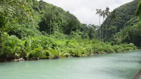 Paisaje-Natural-Tranquilo-En-Filipinas,-Río-Que-Fluye-A-Través-De-La-Selva-Tropical