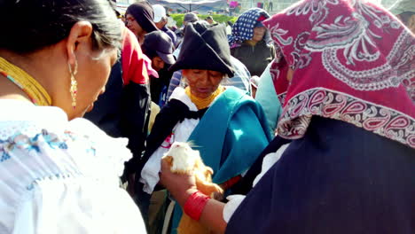 Traditional-Otavalo-women-in-vibrant-attire-engaging-in-conversation-at-a-local-gathering,-sunny-day