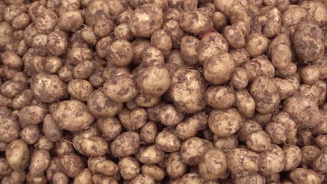Viele-Kartoffeln-Werden-Auf-Dem-Freien-Markt-Verkauft