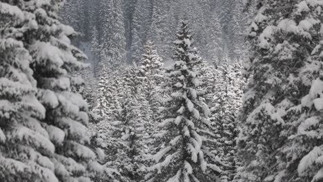 Herrlicher-Bergwinterzauber