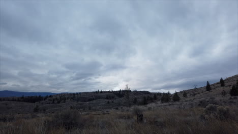 Prairie-Solitude:-Reflective-Moments-in-Kamloops-Grasslands