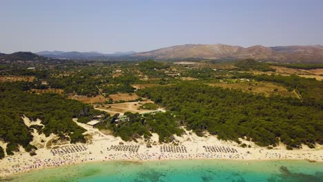 Cala-agulla-beach-with-sunbathers,-surrounded-by-lush-greenery-and-mountains-in-the-background,-midday,-aerial-view