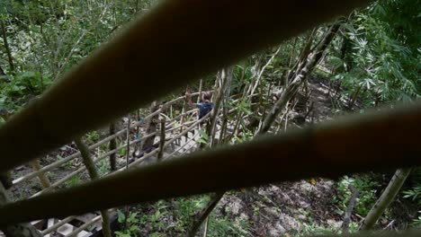 Brave-young-explorer-female-walking-down-wooden-stairs-in-tropical-forest