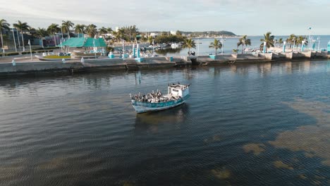 Aerial-drone-view-of-Campeche-seashore-where-pelicans-sit-in-an-old-colourful-boat