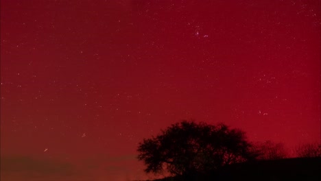 Rote-Nordlichter-Tanzen-über-Einem-Isolierten-Baum,-Zeitraffer-Der-Roten-Aurora-Am-Nachthimmel