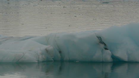 Gletscherlagune,-Jökulsárlón,-Island,-Mit-Eisbergen-Und-Fließendem-Eisblauem-Wasser