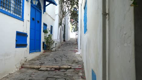 Gepflasterte-Straße-In-Sidi-Bou-Said-Mit-Traditionellen-Blauen-Türen-Und-Fenstern