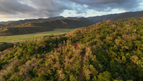 Drone-aerial-footage-of-Jaco-Costa-Rica-rainforest-coast-trees-jungle-Central-America