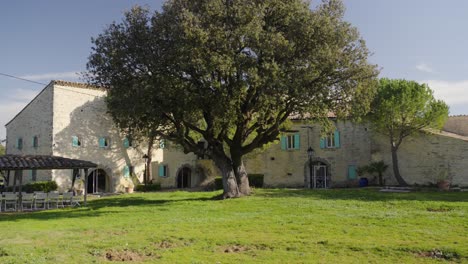 Majestic-olive-tree-standing-in-garden-of-a-renovated-farm-villa-in-southern-France